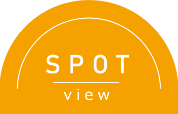 SPOT view