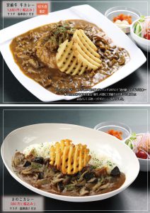 宮崎牛牛カレー・きのこカレー